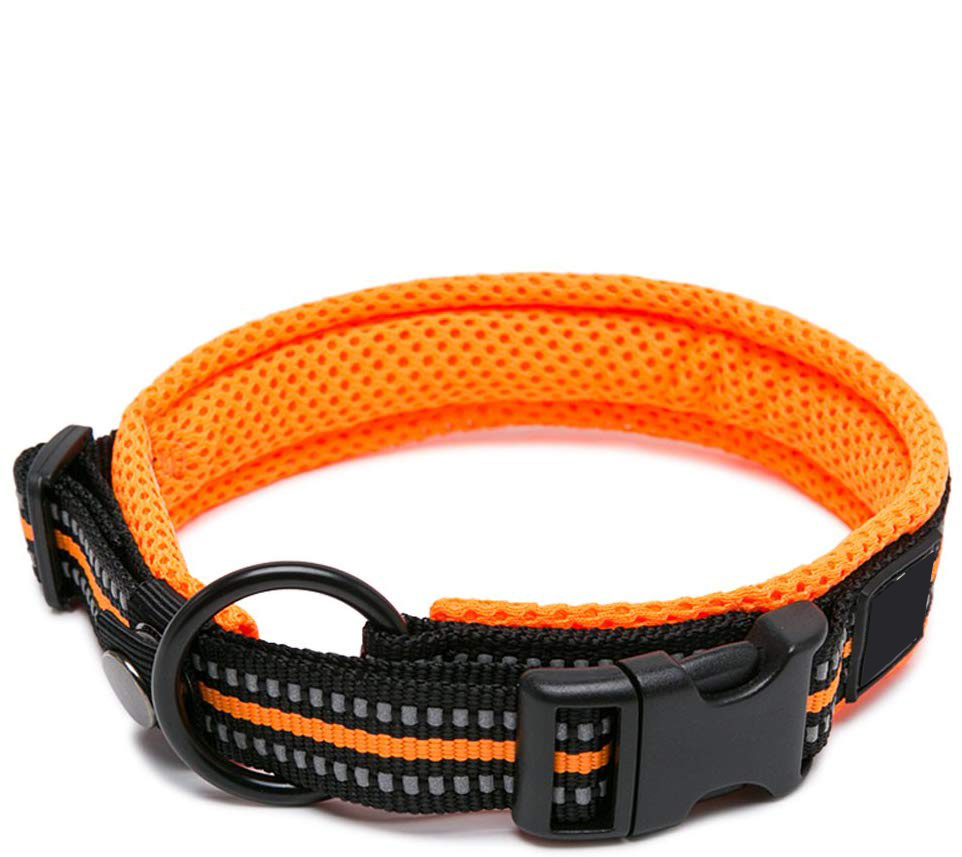 Nylon Webbing with 3m Reflective Material Dog Collar